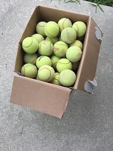 100 Tennis Balls ~ Dog Toy Catch Baseball~Walker Table Chair feet~FREE SHIP!