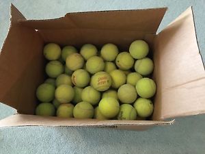 100 Used Mixed brand Tennis Balls for Schools, Chairs & Dog Toys