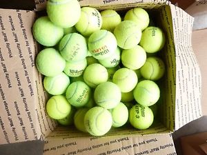 100 Tennis Balls- Average-Below Average Condition