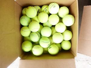 100 Tennis Balls- Average Condition