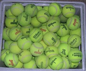 50 Tennis balls Dog Balls