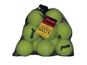 NEW Penn 12 Pressureless Tennis Balls with Reusable Mesh Bag FREE SHIPPING