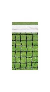 Collegiate Tennis Net [ID 134902]