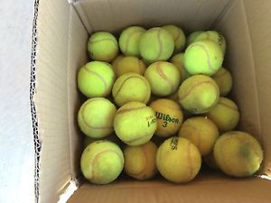 80 Used Tennis Balls For Practice, Dog Chew Toys etc.  10lbs WILSON DUNLOP PENN