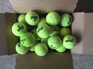 30 Used Tennis Balls