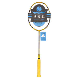 High Elasticity Badminton Rackets Streamline Carbon Fiber Racquet Attacking