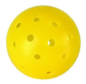 Pickleball Now TNT Pickleball 12-Pack