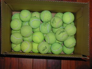33 used tennis balls, various brands