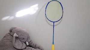 Mizuno Hayakawa VS Calibour Tour Olympic Edition Signature Racket +_+