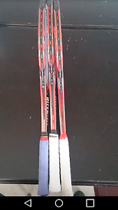 Dunlop Biomimetic 300 Tour