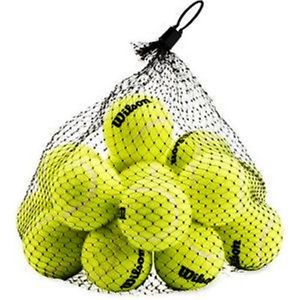 Wilson Pressureless Tennis Balls
