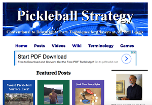 PickleballStrategy.com - Complete Turn-Key Website Might Go Viral