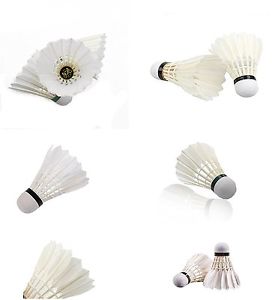 Eternal Loves-E1 Feather Badminton Shuttlecocks Ball Sport White 12 PCS