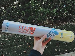 Star 301 Darke Feather Birdies Shuttlecocks Badminton Balls 12pcs