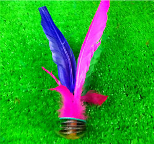 Kick Feather Shuttlecocks 30Pcs Badminton Original China Jianzi Shuttlecock DHL