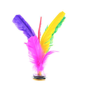 Kick Feather Shuttlecocks 12Pcs Badminton 21CM Original China Lenwave Jianzi