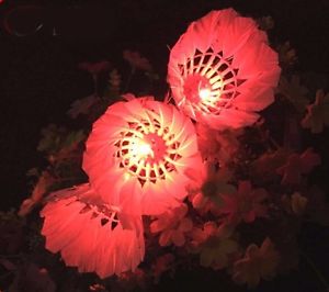 Night Durable 8 Colors LED Badminton Balls 10pcs Goose Feather Shuttlecocks