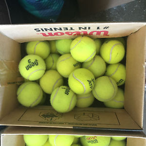 150 Used tennis balls mixed brands Dunlop PENN Wilson Support our kids