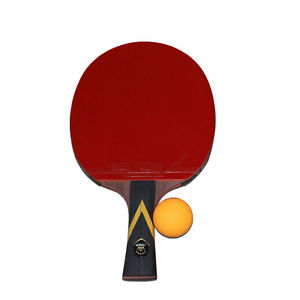 Carbon Table Tennis Racket With Case Ball for Beginner to Advanced Player