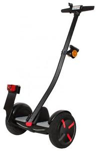 Ninebot Mini Rue par Segway 320 pro noir + Paquet TÜV