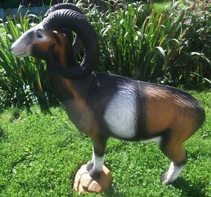 SRT 3D Cible Mufflon stehend