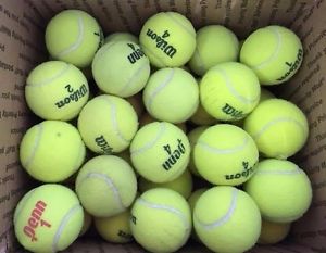 36 Used Tennis Balls Penn and Wilson Free Shipping!