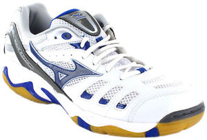 Mizuno Rally