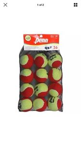 Penn QST 36 Felt Tennis Balls 12 Count