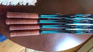 Dunlop Biomimetic 100 (QTY 4)
