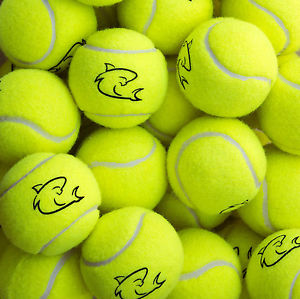 NUEVO 72 X Top Quality High Estándar Pelotas Tenis Para Tennis Jugadores