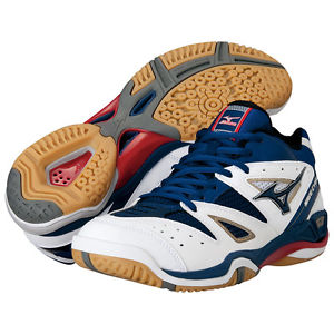 Mizuno Wave Cygnus MS Badminton Handball Volleyball Indoor Shoes 71GA142014