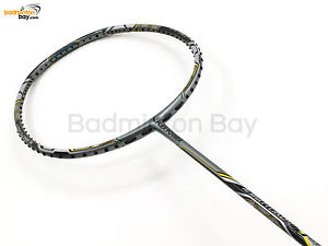 Flex Power Nano Tubes N-9000 (4U) Badminton Racket Free Stringing PU Grip
