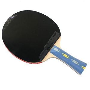 DHS E402 Table Tennis Racket Shakehand