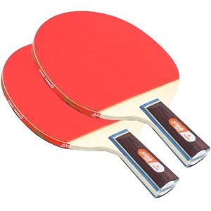 DHS Table Tennis Racket  Penhold Shakehand  Two pack 1006Penhold