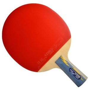 DHS E-E506 Table Tennis Racket Penhold
