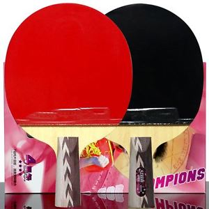 DHS A4006 4-Star Table Tennis Racket 2 Pieces Penhold