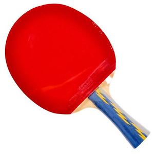 DHS E-502 Table Tennis Racket Shakehand