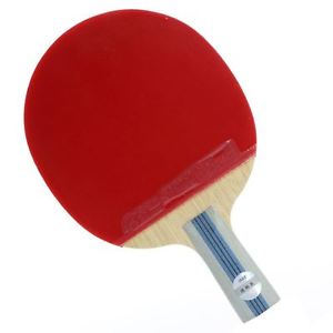 DHS 6-Star Table Tennis Racket Penhold