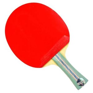 DHS 5-Star A5002 Table Tennis Racket Shakehand Free Table Tennis Racket Bag