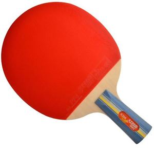 DHS E-E306 Penhold Table Tennis Racket
