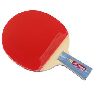 DHS E406 Table Tennis Racket Penhold
