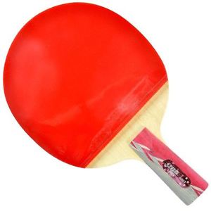 DHS 4-Star A4007 Table Tennis Racket Penhold