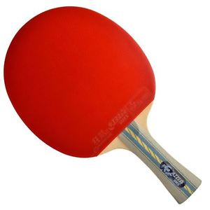 DHS E-E602 Table Tennis Racket Shakehand