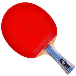 DHS A6002 Table Tennis Racket Shakehand